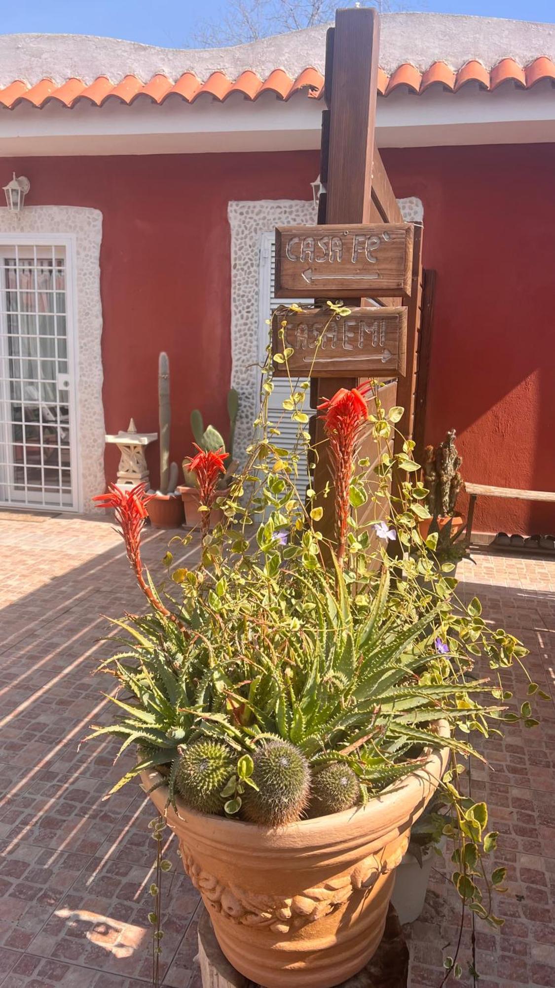 Casa Fe Apartment Fregenae Exterior photo